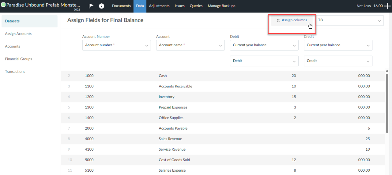 Displays Datasets window and the Assign columns tool.
