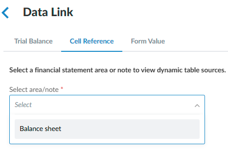 Selecting a financial statement area to view available areas to reference. 