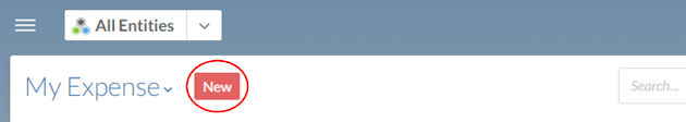 The New button adds new Expense entries. 