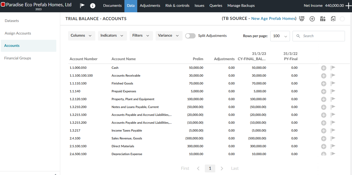 Accounts tab appears after the trial balance import.