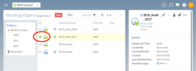 Select a Working Papers file. The details pane is displayed on the right.
