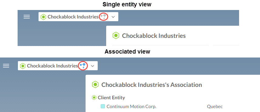 Single entity view vs. Association view