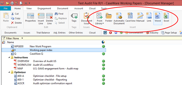 You can create a document or a document reference on the Home tab in Working Papers.