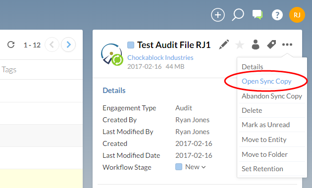 Open a sync copy of the selected engagement file.