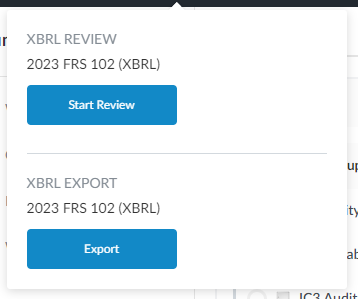 The XBRL popup.