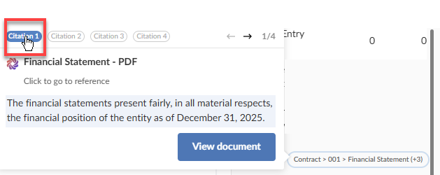 A citation detail panel showing a Financial Statement PDF source, with a passage of highlighted text and a View document button.