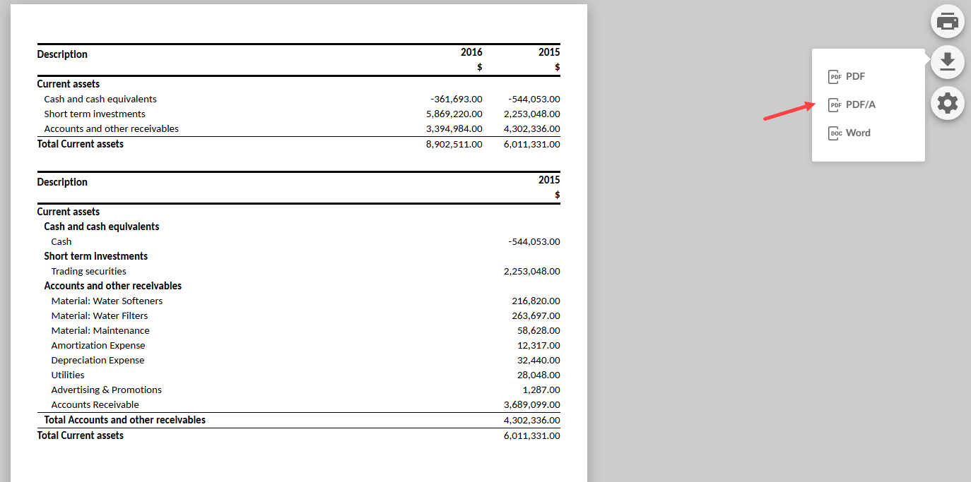 A financial statement print preview with the download menu open and the "PDF/A" export option highlighted.
