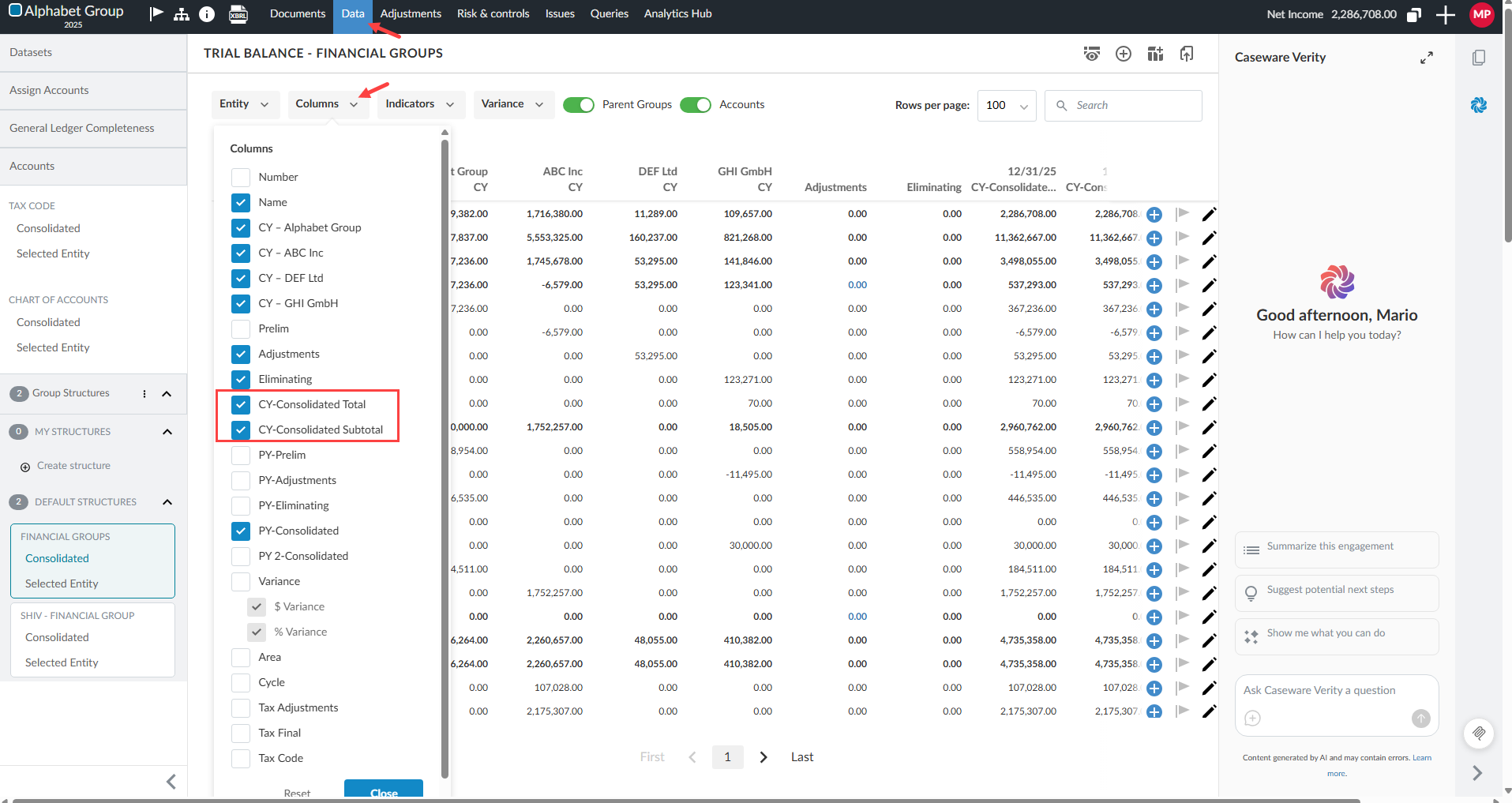 The trial balance in the Data page with pointers to the Column dropdown and highlighting the new options for CY consolidated total and subtotal.
