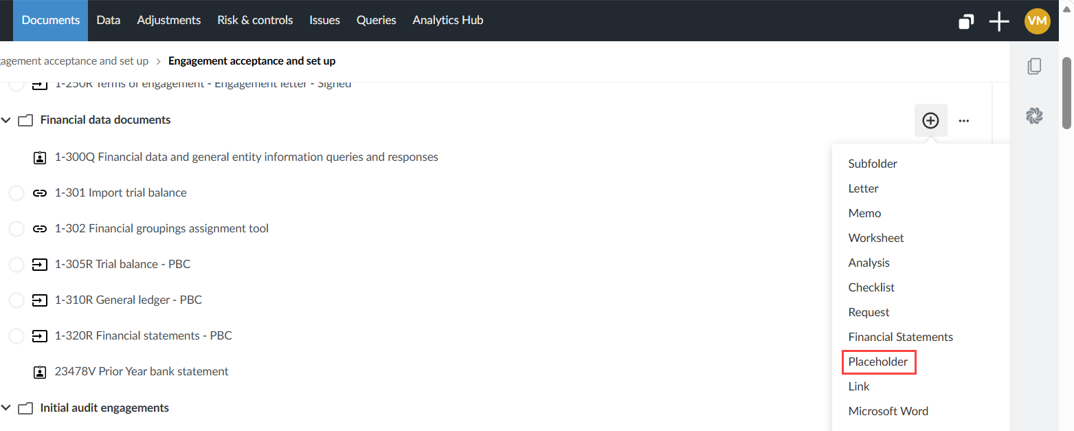 Documents view with the Financial data documents add menu open and Placeholder highlighted.