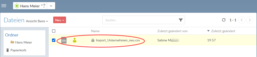 Your new file is created, and access to this file is limited. This is indicated by the gray lock icon next to the file name.