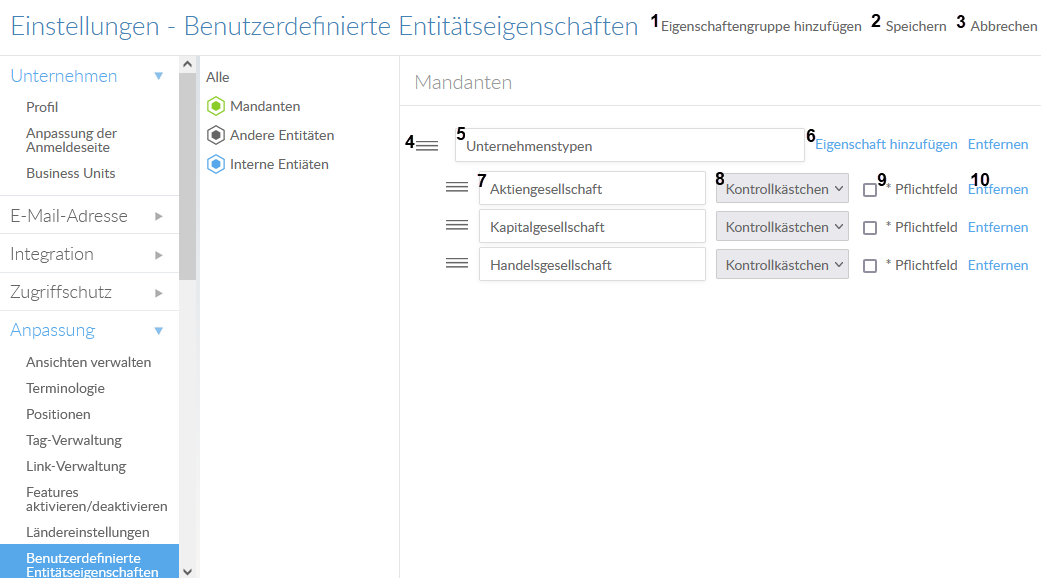 The Custom Entity Properties interface.
