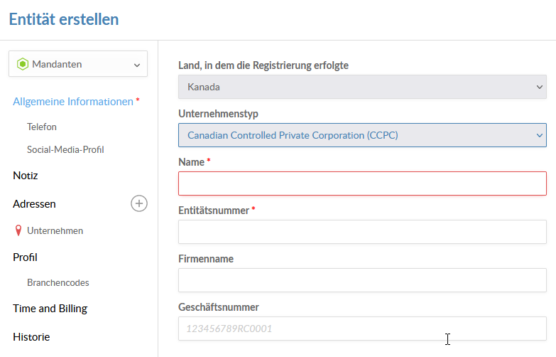 The Create Entity dialog.