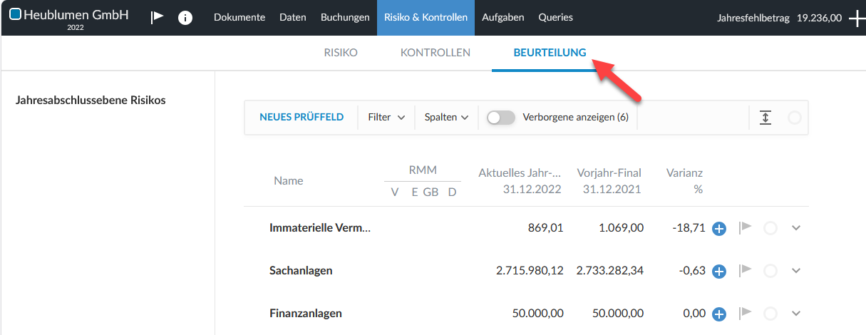 the user interface for selecting the Assessment tab in the Risk & Controls page.