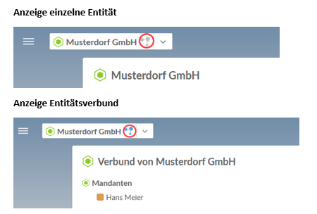 Single entity view vs. Association view