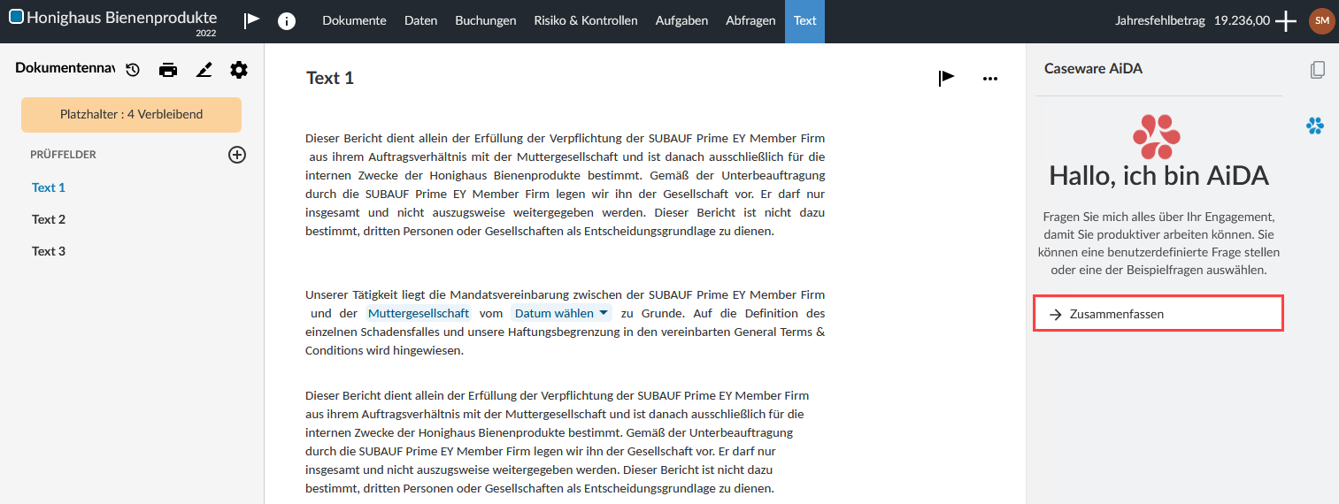 Selecting the Summarize option in AiDA.