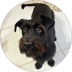 image of signature dish for a fine dining restaurant