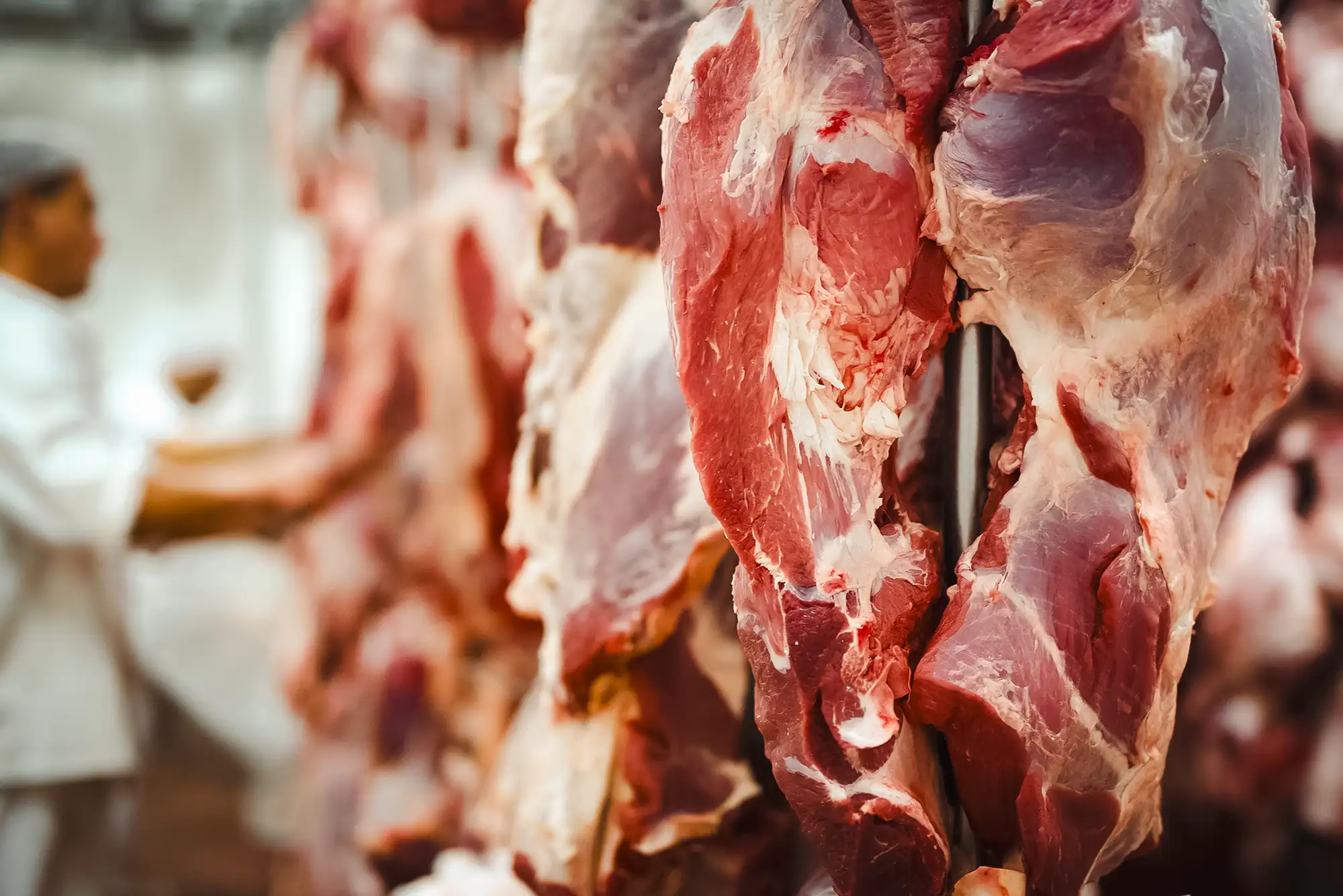 hanging beef ready to import and export
