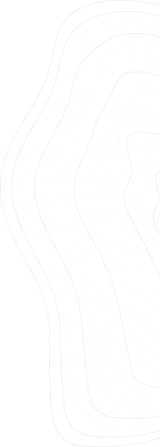 Abstract black and white contour lines forming an organic, flowing shape.