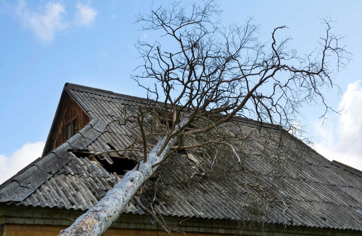 roof damage from fallen tree in Orange County