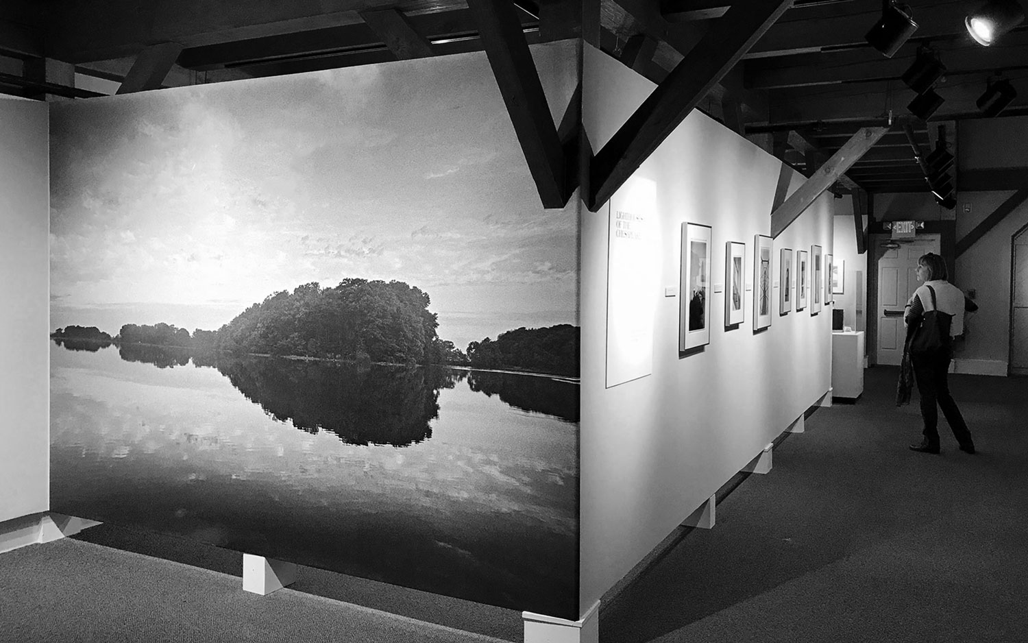woman viewing photography exhibition