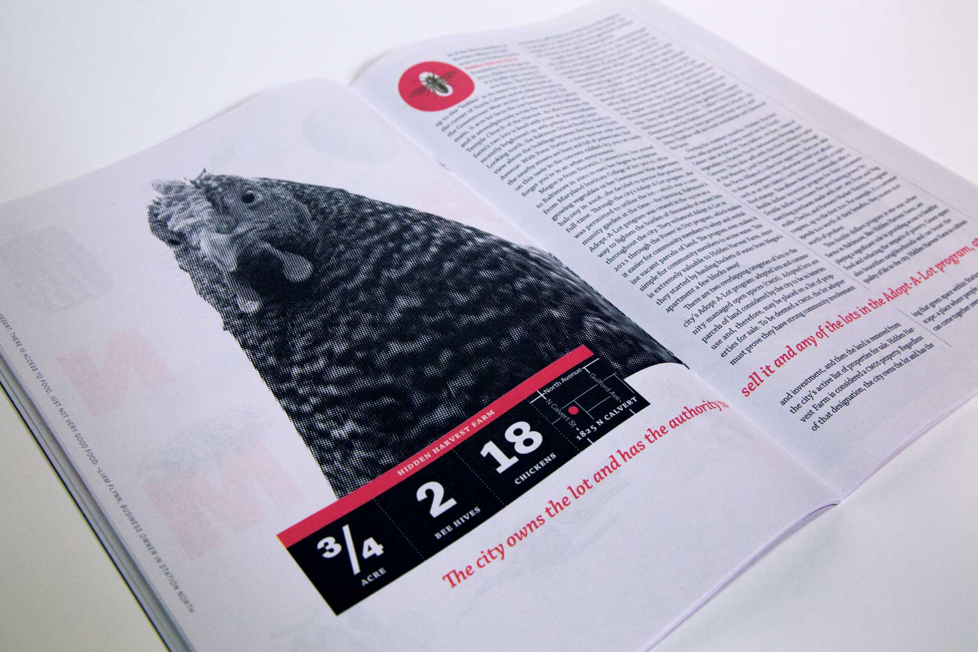 publication spread