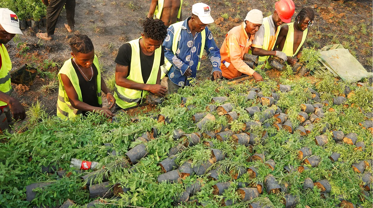 Farmers in Angola participating in Dimarjan's community carbon stewardship program