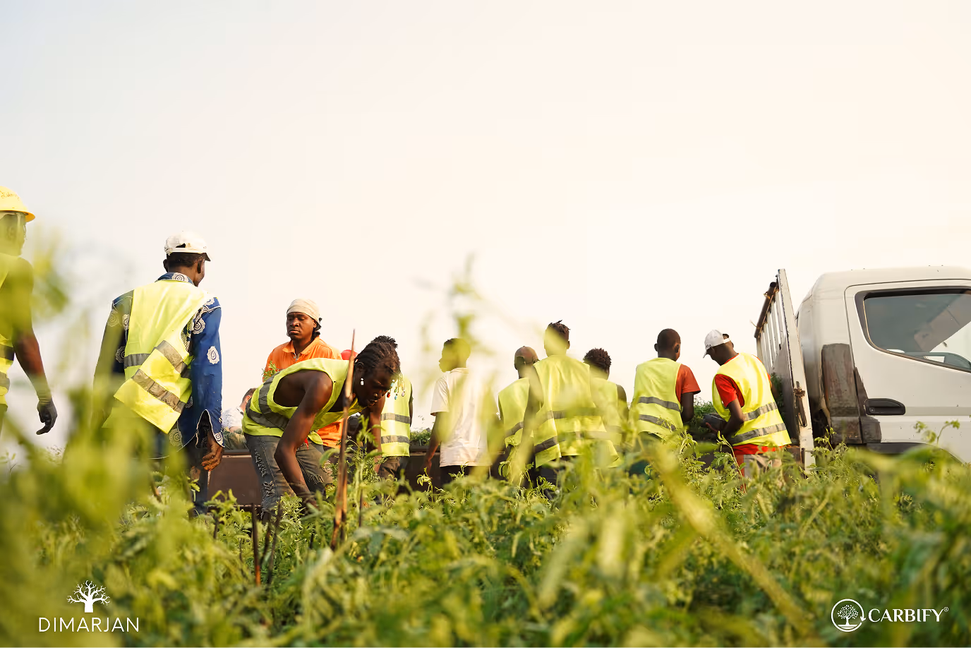 Local communities and farmers partnering with Dimarjan in Angola