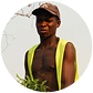 Community farmer in Dimarjan's agroforestry program in Angola