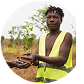 Smallholder farmer in Dimarjan's agroforestry program in Angola