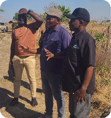 Field story — Dimarjan agroforestry project in Angola