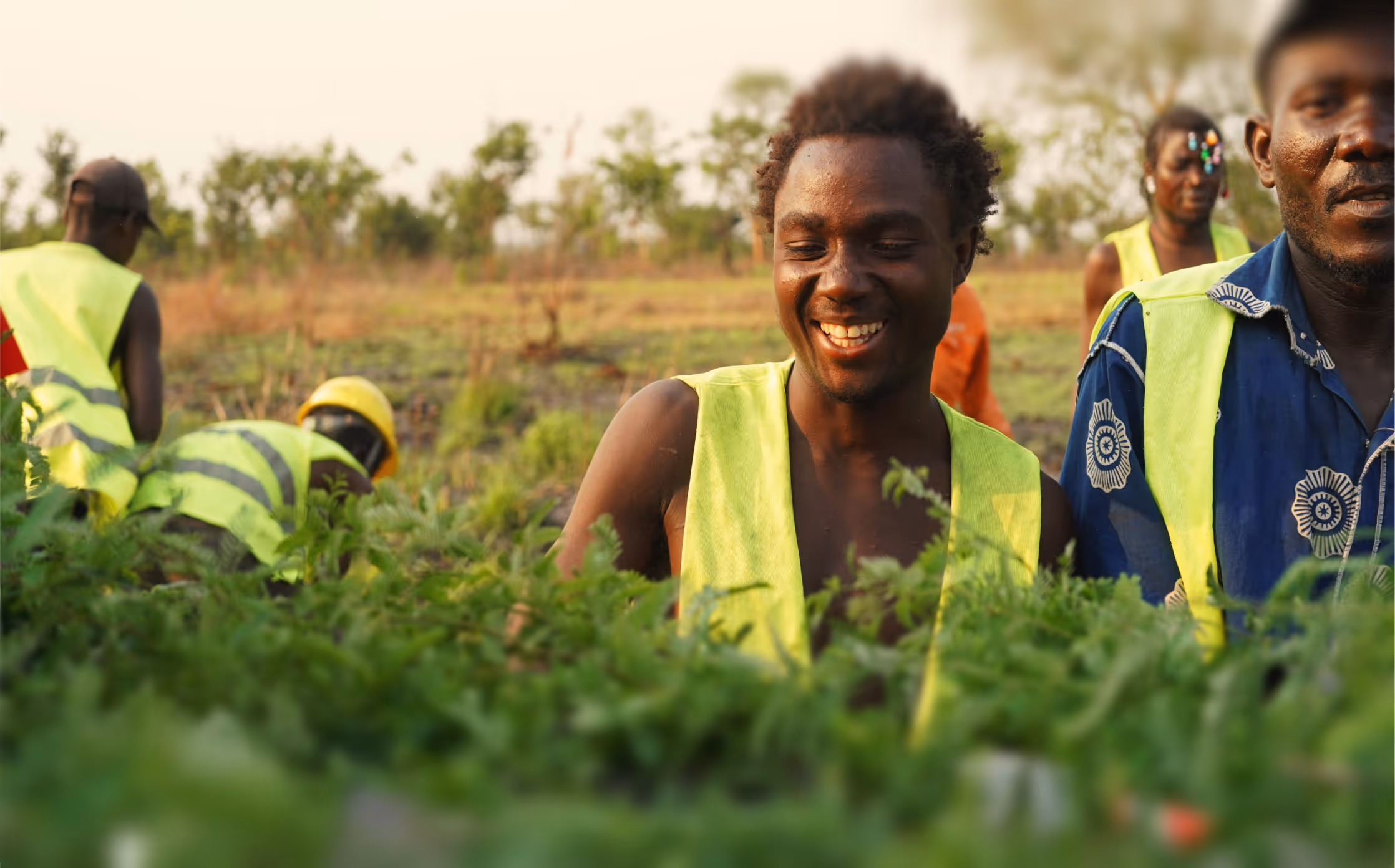 Regenerative agroforestry landscape in Angola