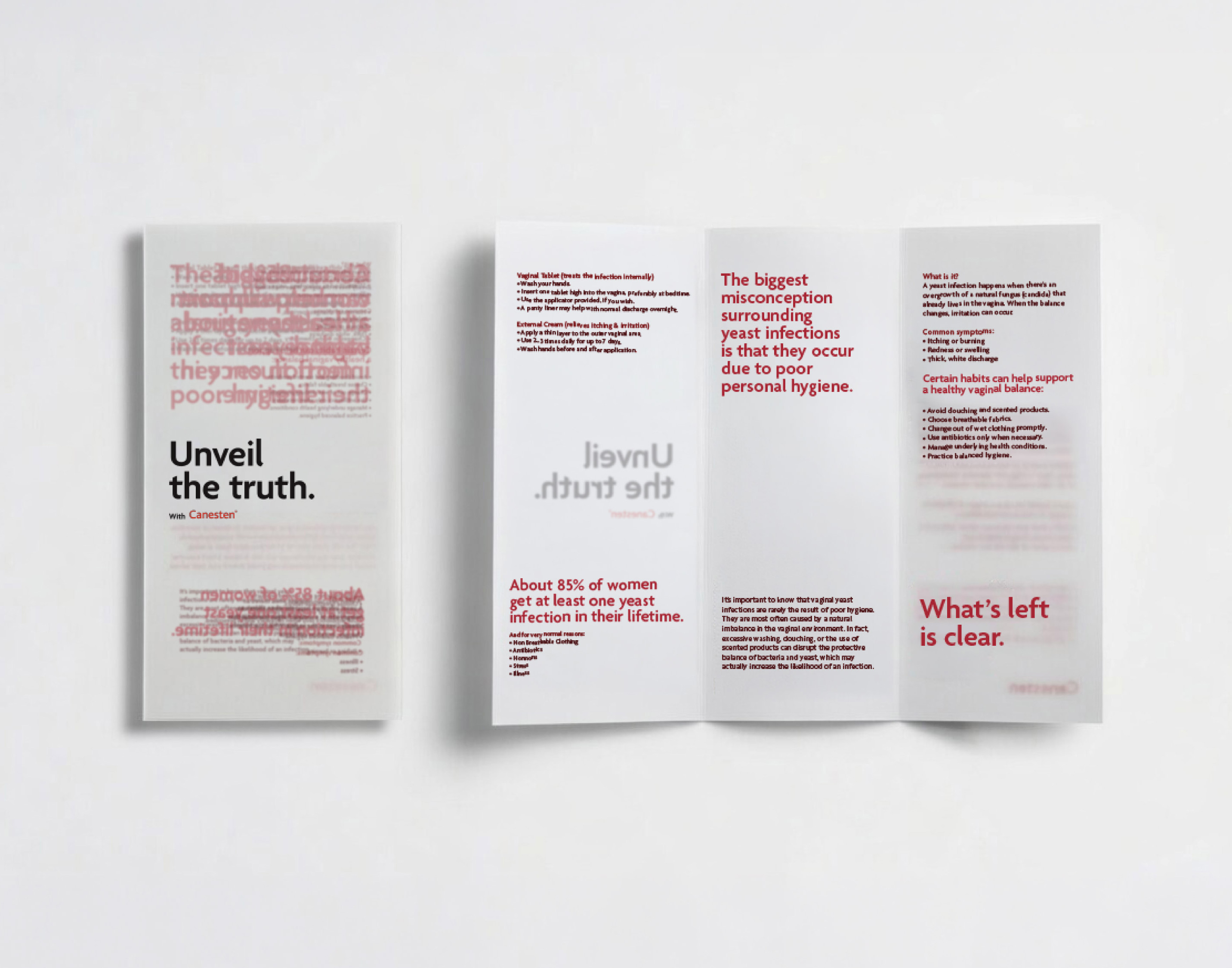 A person holding all the flavors of Fizz Kombucha.