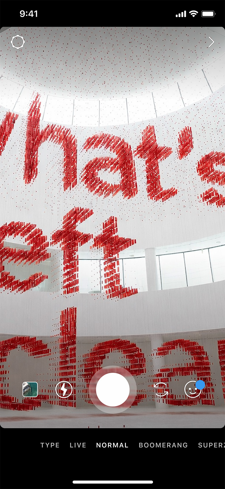 Fizz Kombucha bottles enjoyed in a picnic setting.