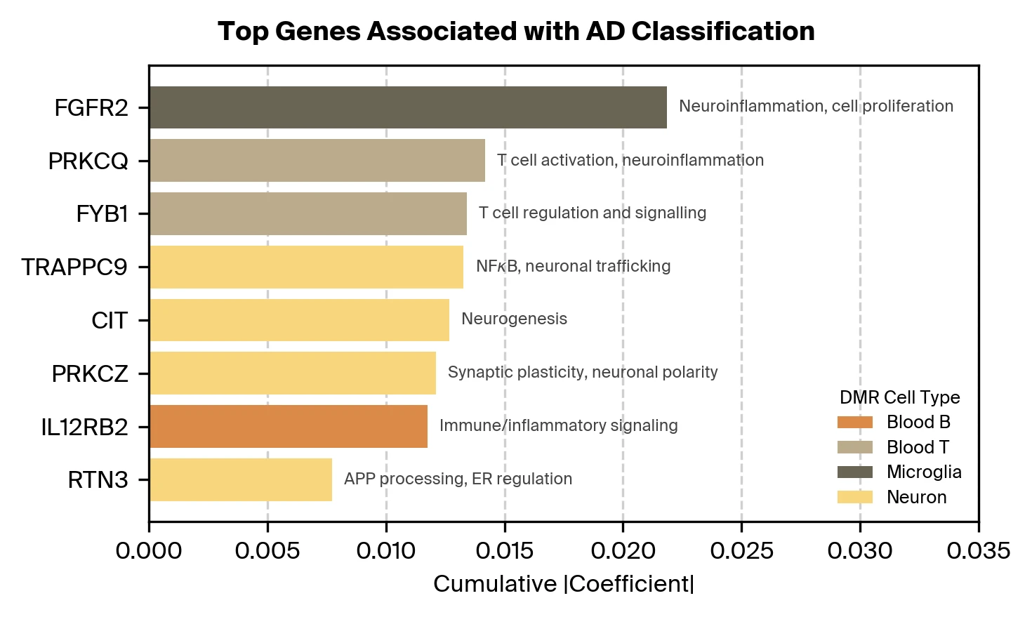 Top genes associated with informative DMRs