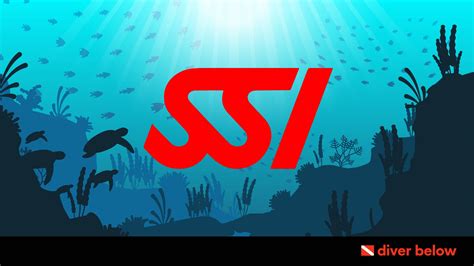 Open Water Diving Certification