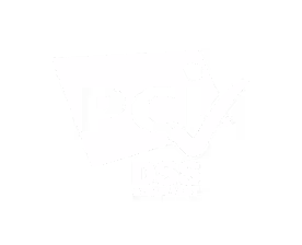 PCI DSS