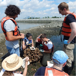 Volunteers in life vests examining oyster cages on a rocky shoreline at low tide