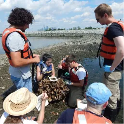 Volunteers in life vests examining oyster cages on a rocky shoreline at low tide