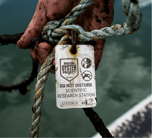 Muddy hand holding a rope tagged Do Not Disturb Scientific Research Station