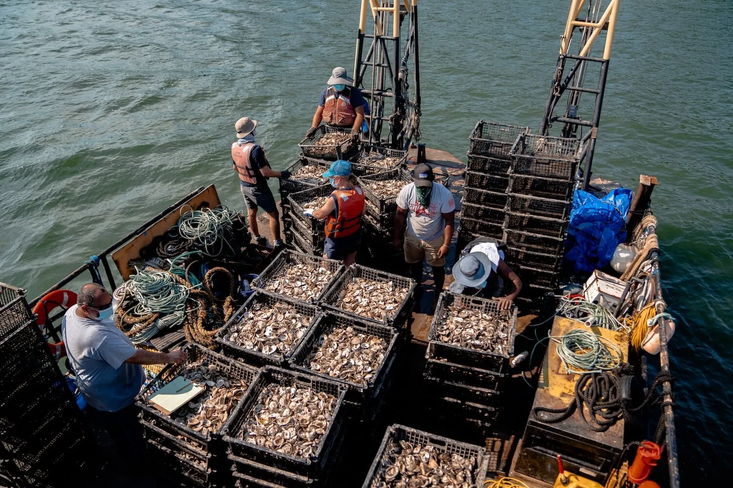 Crew members on a barge sort crates of oyster shells bound for reef planting in the harbor