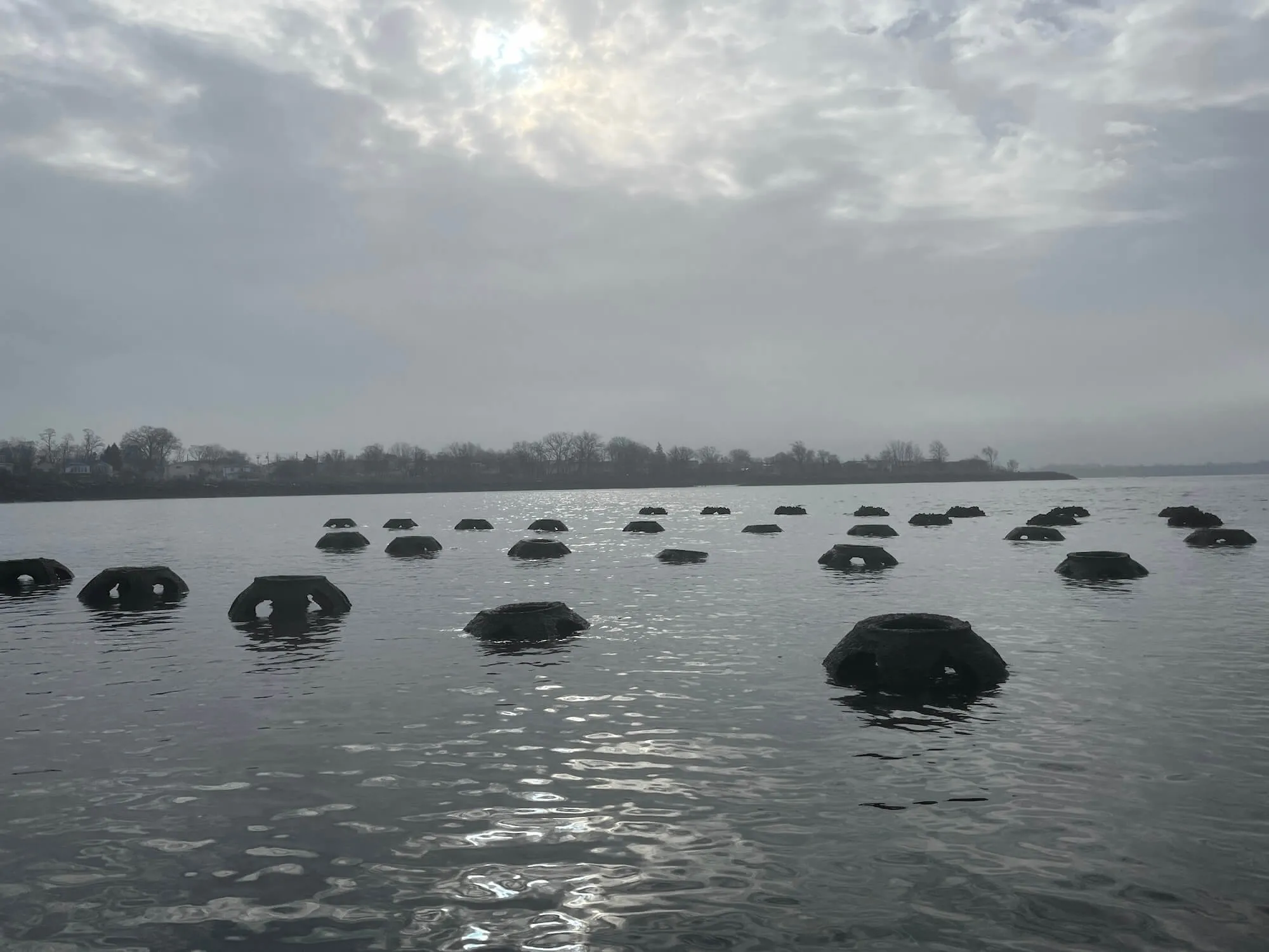 Rows of reef balls breaking the surface at low tide near the shoreline