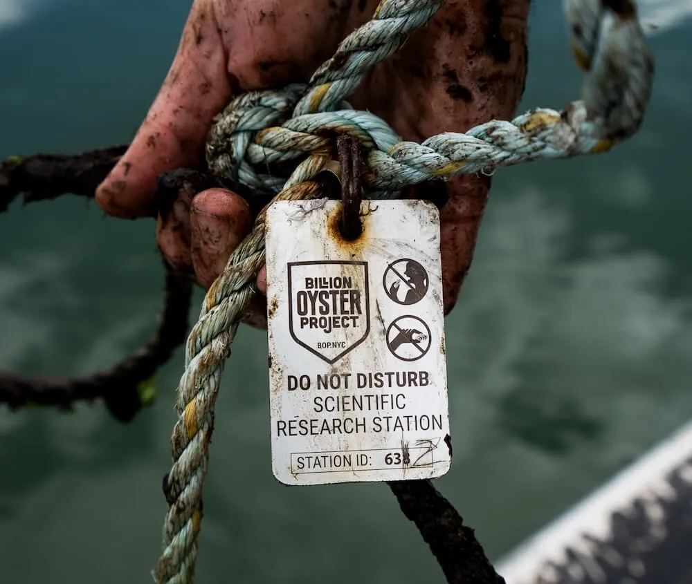 Hand holding a rope tagged Do Not Disturb Scientific Research Station
