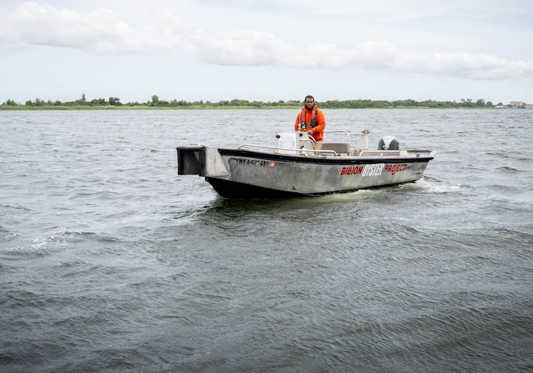 Crew member piloting a small Billion Oyster Project workboat across open water