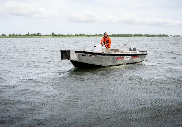 Crew member piloting a small Billion Oyster Project workboat across open water