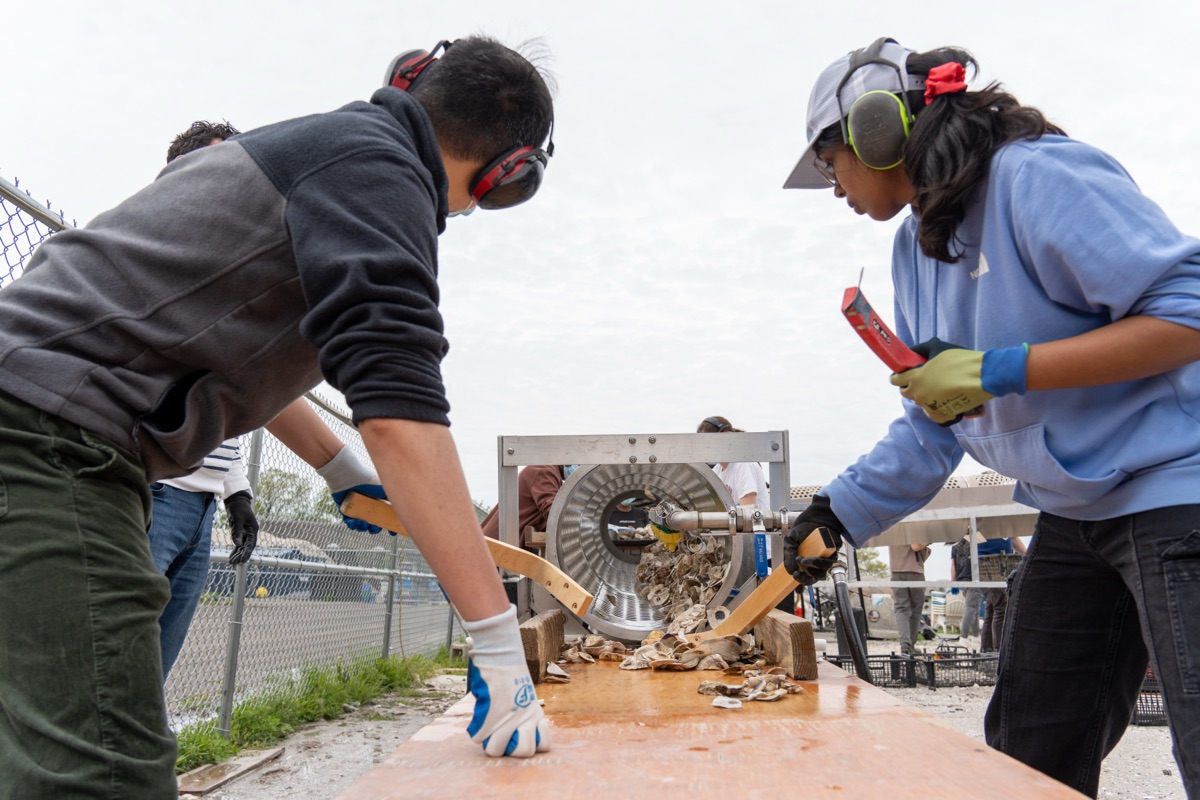 Volunteers wearing ear protection guiding oyster shells out of a sorting tumbler
