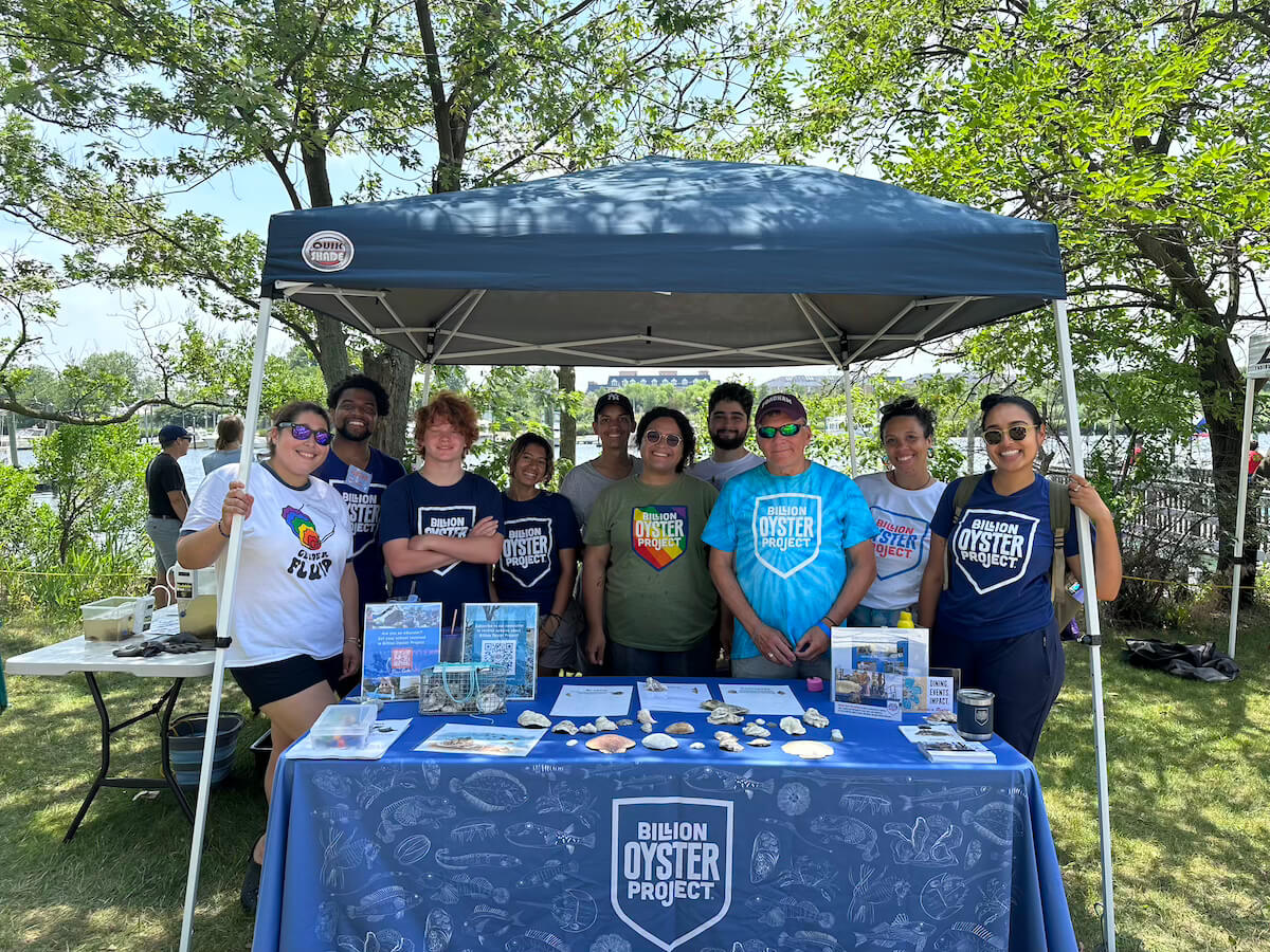Billion Oyster Project team at an outreach tent with oyster shells on display