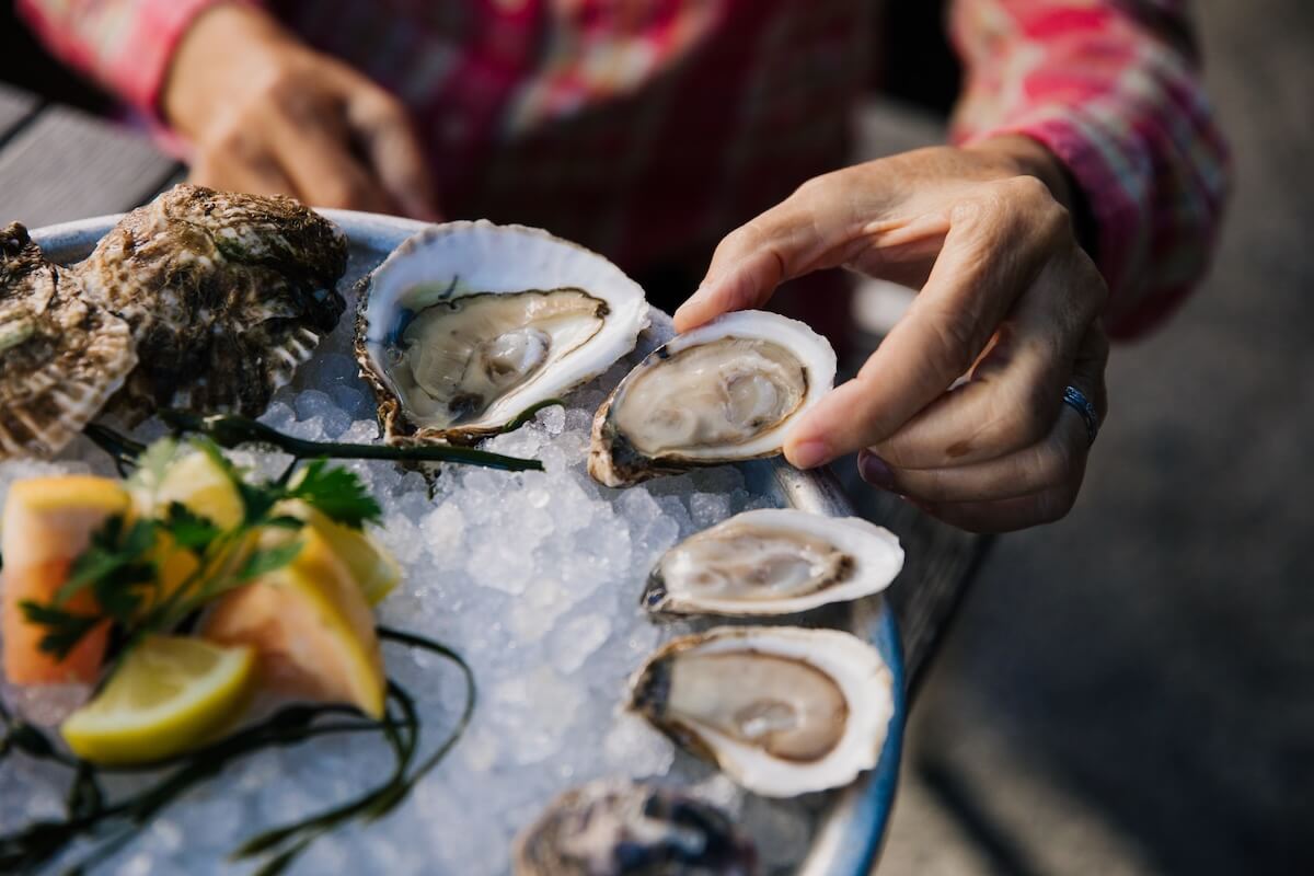 Hand picking up a freshly shucked oyster from a platter of oysters on ice