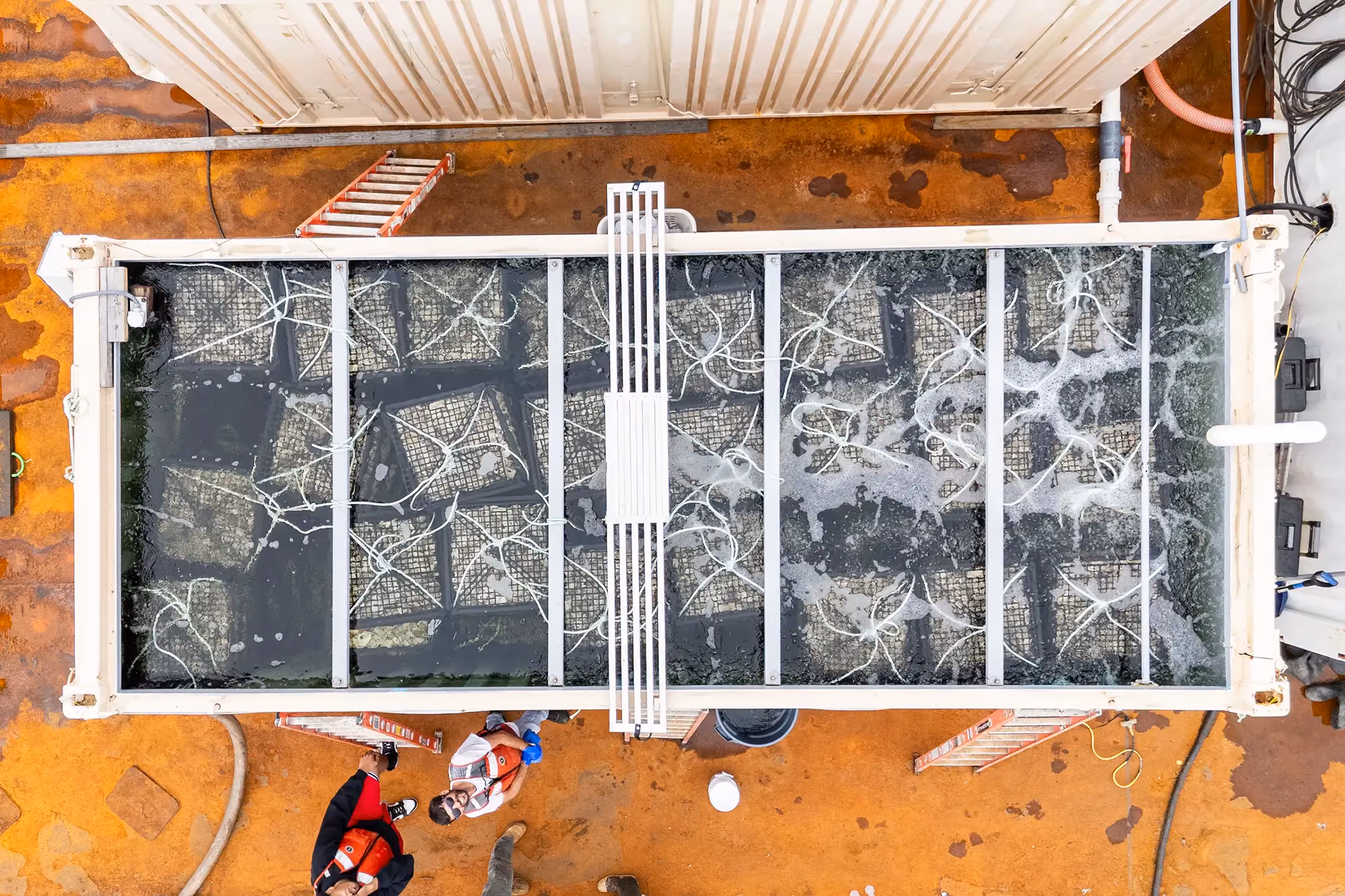 Overhead view of an oyster setting tank filled with cages aboard a barge, crew standing alongside
