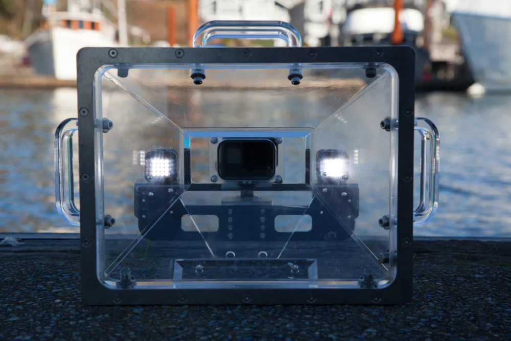 Underwater camera in a clear waterproof housing on a dock