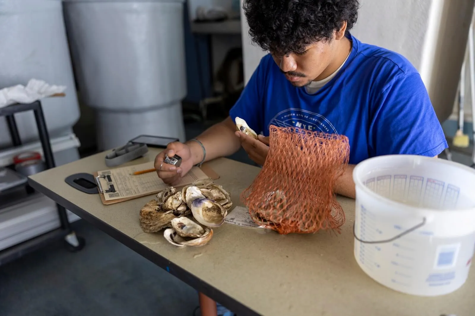 A young researcher measures oysters from an orange mesh bag and logs data on a clipboard